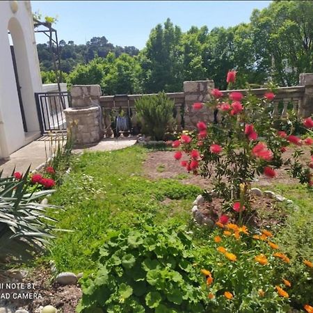 Apartmani Jovanovic Petrovac Eksteriør bilde