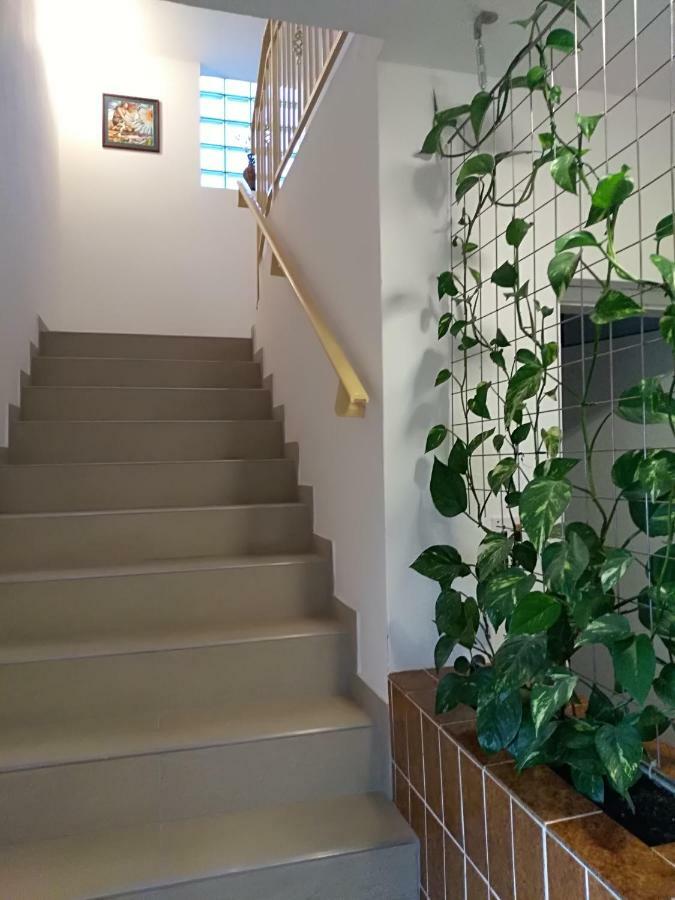 Apartmani Jovanovic Petrovac Eksteriør bilde