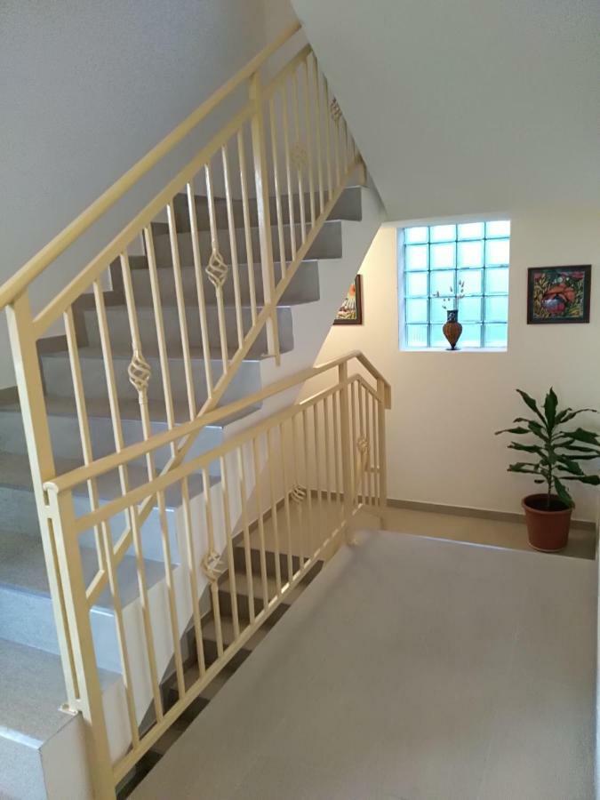 Apartmani Jovanovic Petrovac Eksteriør bilde
