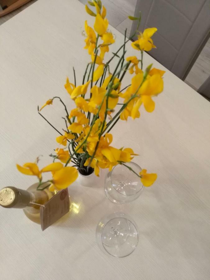 Apartmani Jovanovic Petrovac Eksteriør bilde